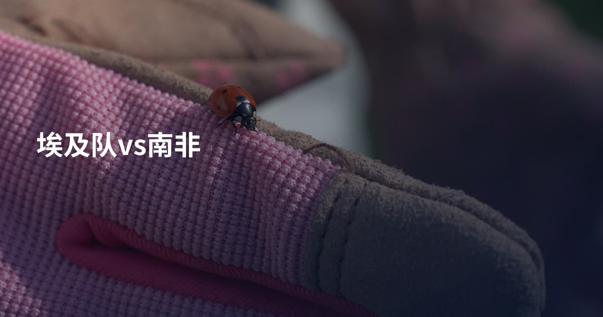 埃及队vs南非