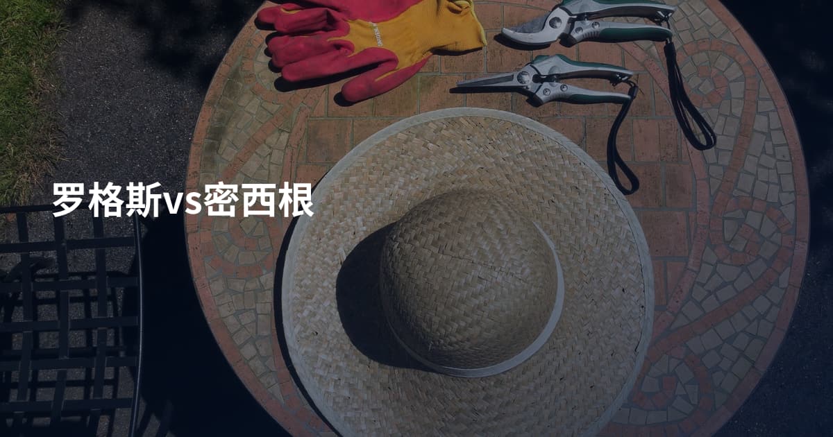 罗格斯vs密西根