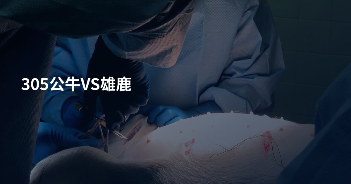 305公牛VS雄鹿