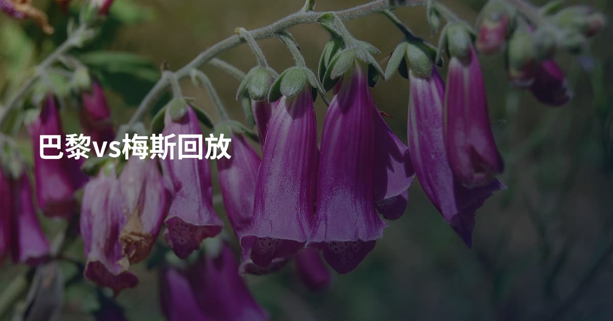 巴黎vs梅斯回放