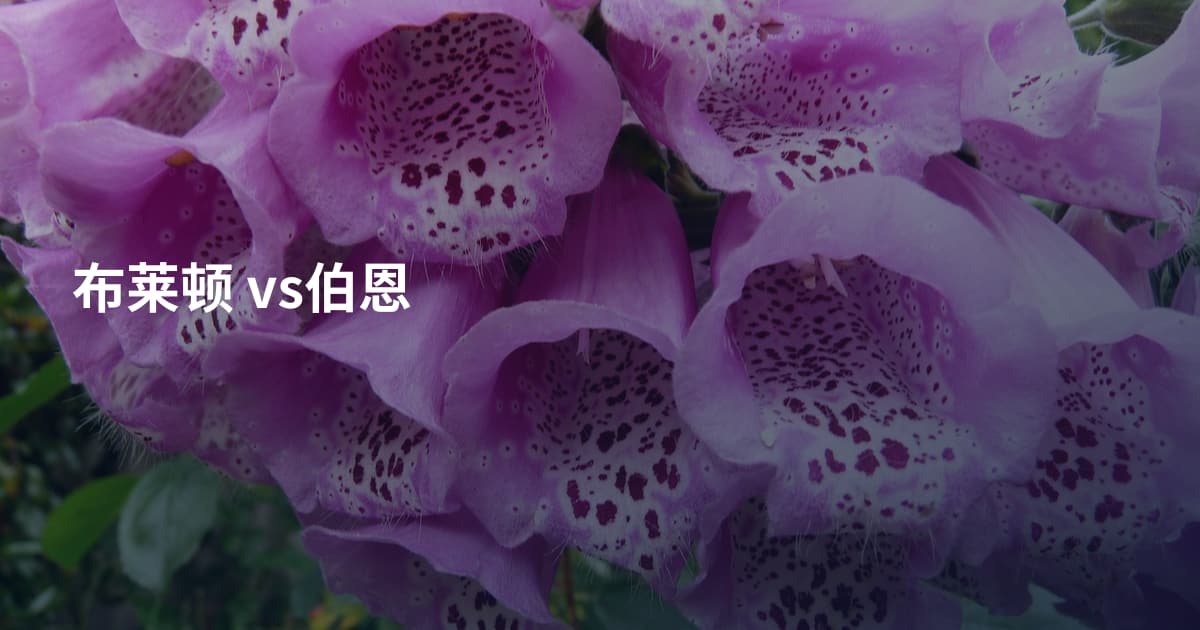 布莱顿 vs伯恩