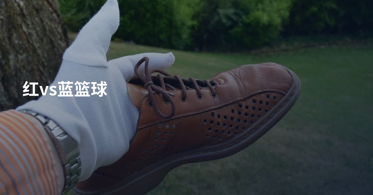 红vs蓝篮球
