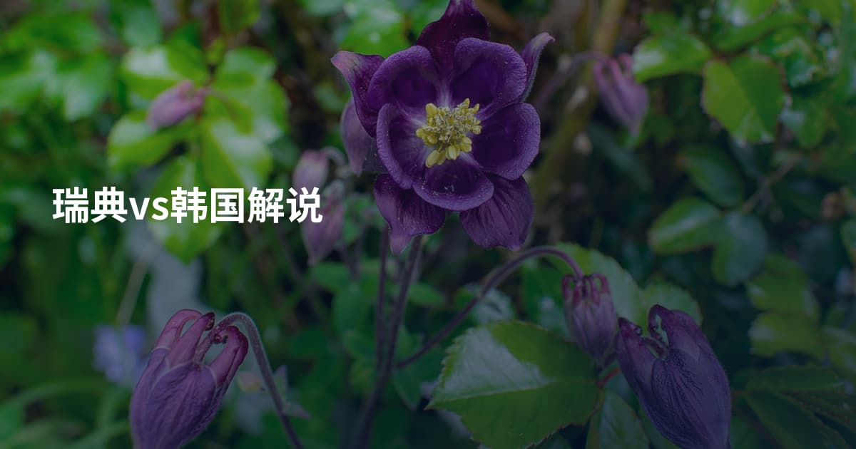 瑞典vs韩国解说