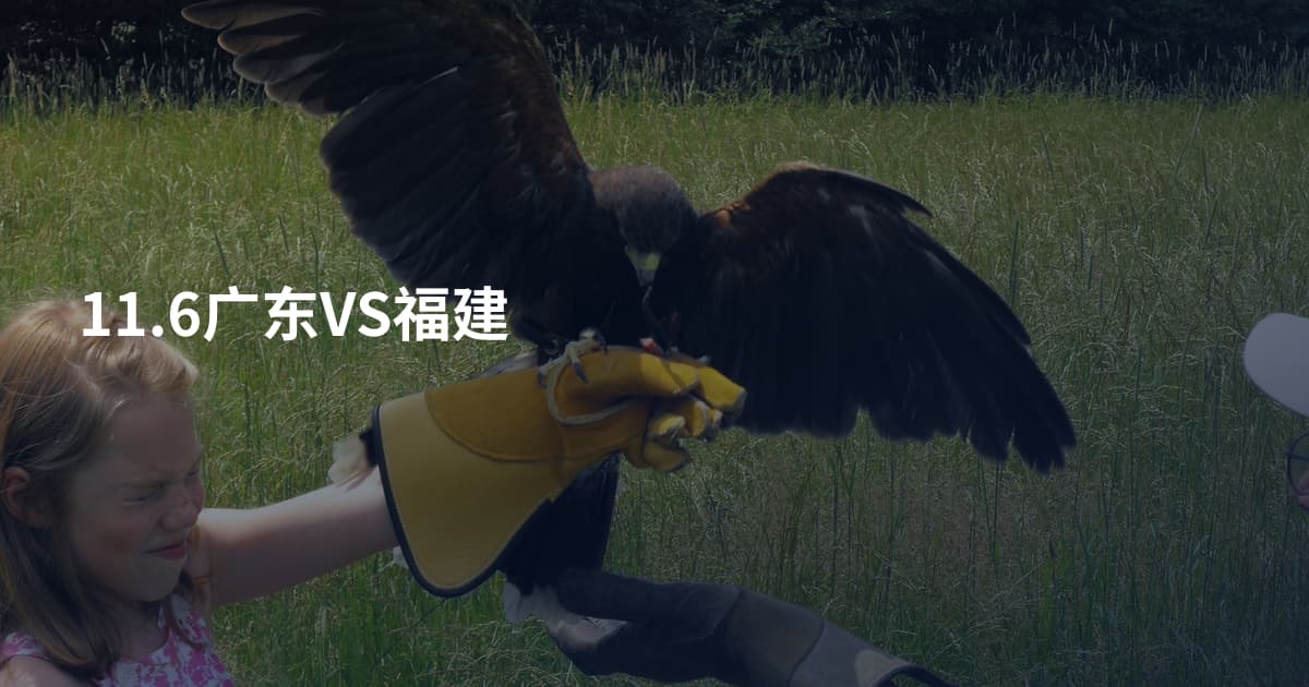 11.6广东VS福建