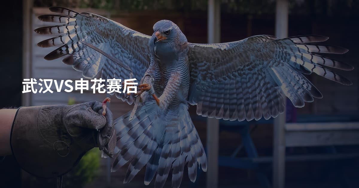 武汉VS申花赛后