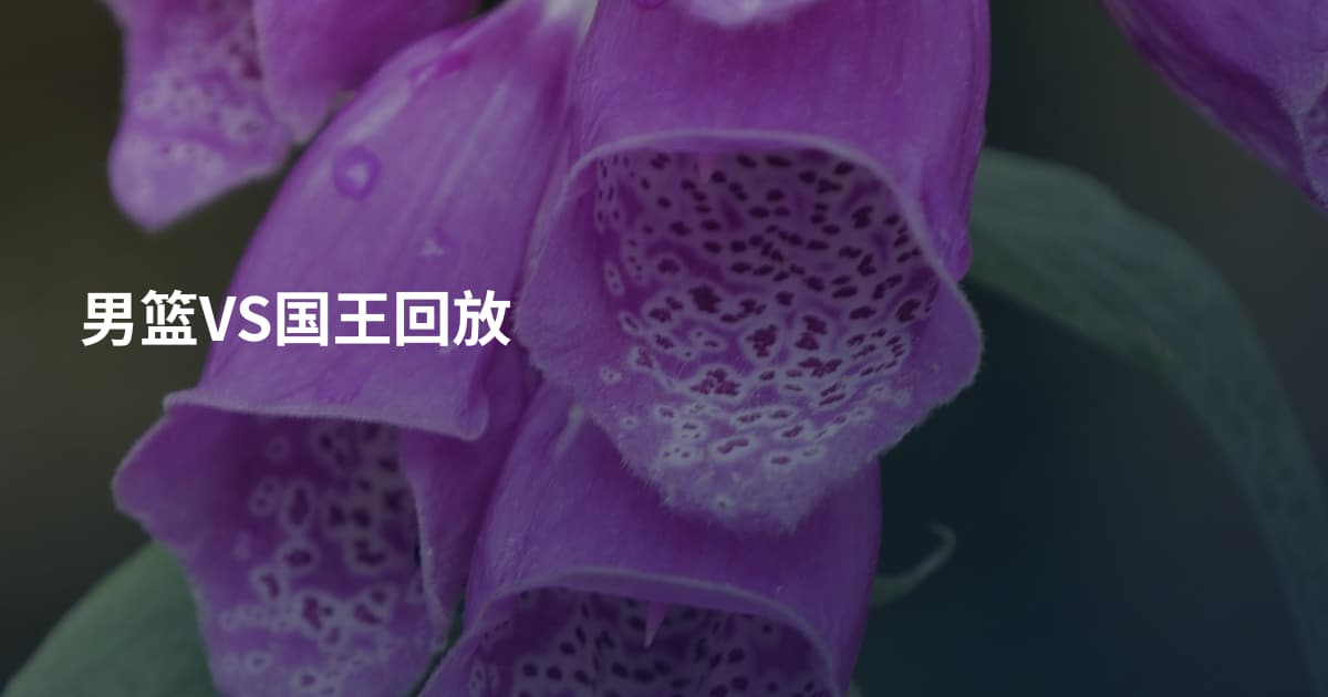 男篮VS国王回放