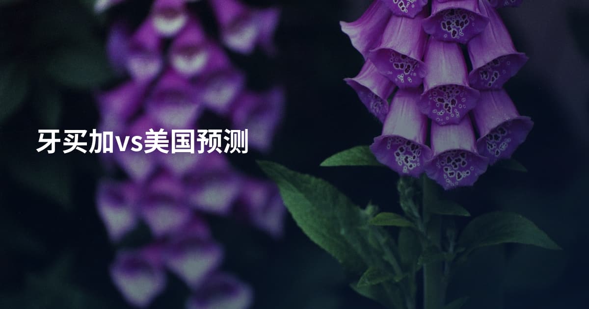 牙买加vs美国预测