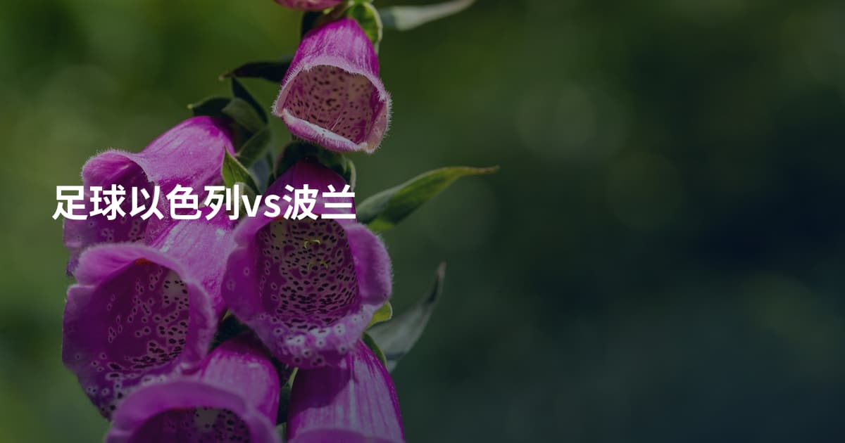 足球以色列vs波兰