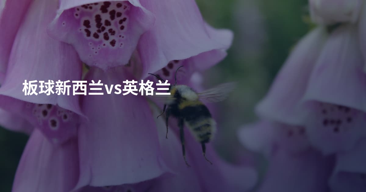 板球新西兰vs英格兰