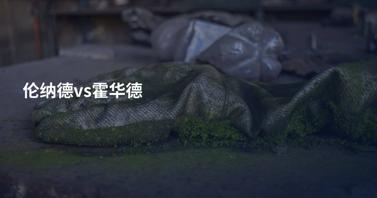 伦纳德vs霍华德