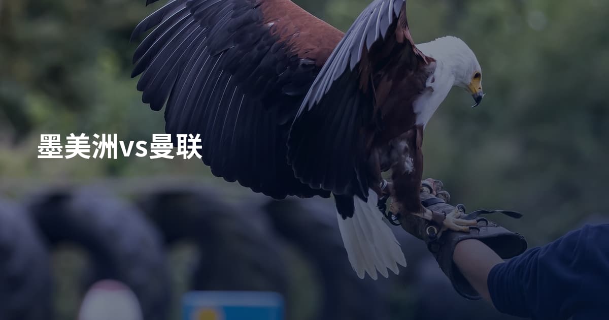 墨美洲vs曼联
