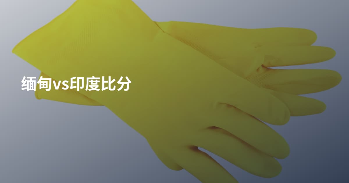 缅甸vs印度比分