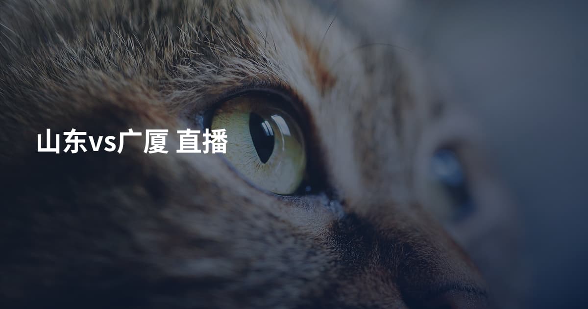 山东vs广厦 直播