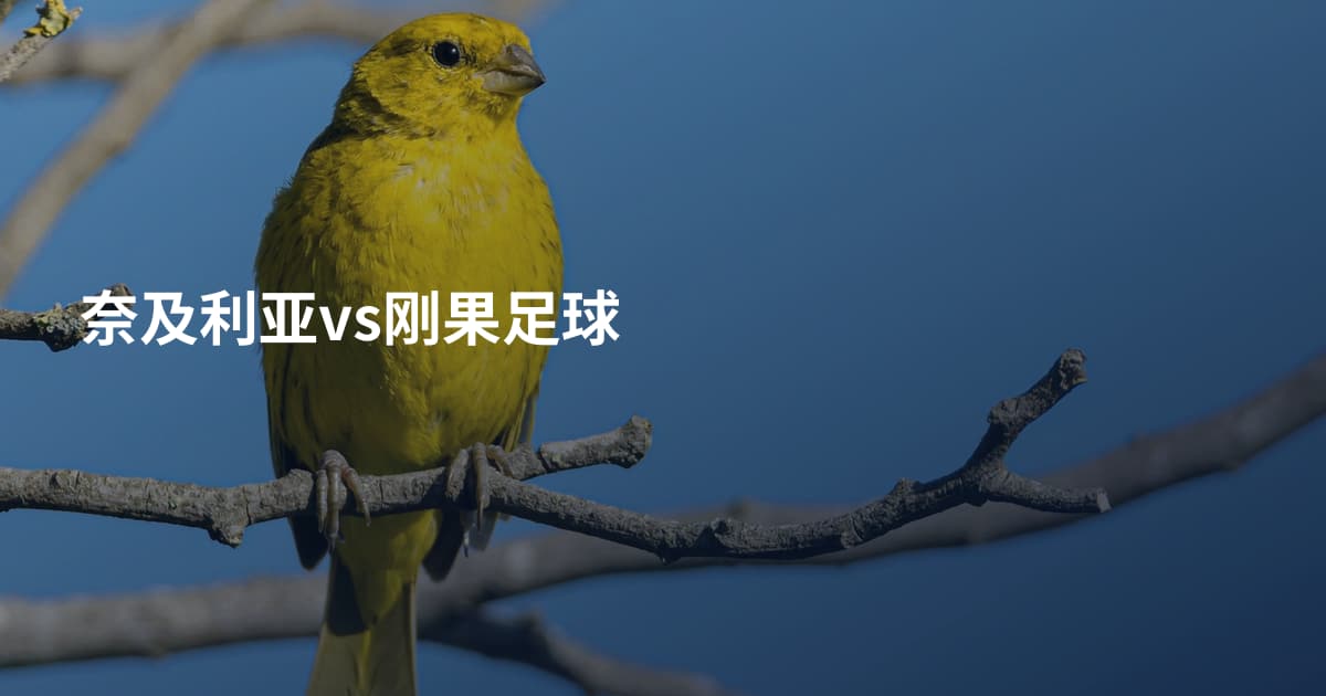 奈及利亚vs刚果足球