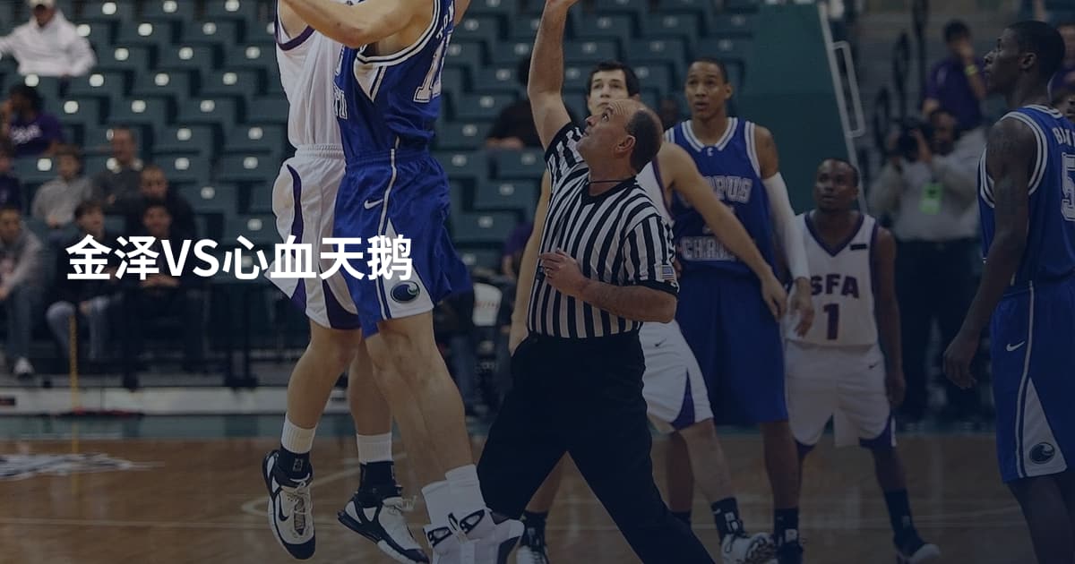 金泽VS心血天鹅