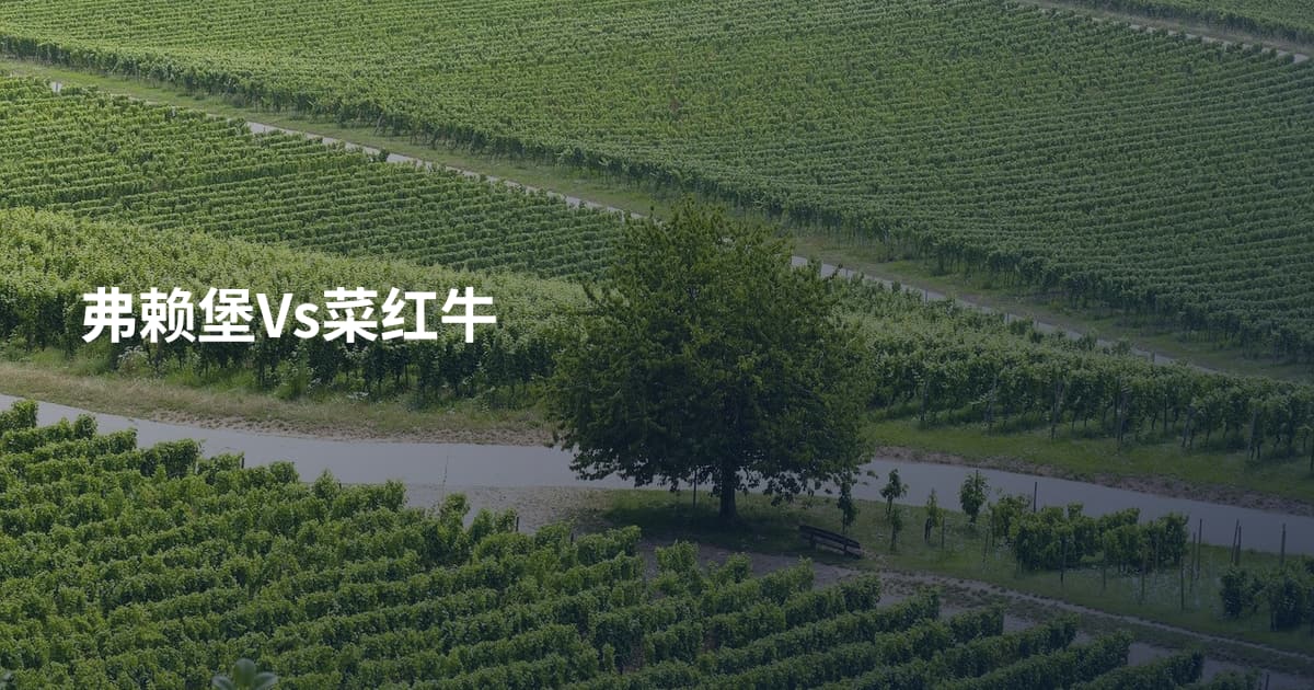 弗赖堡Vs菜红牛