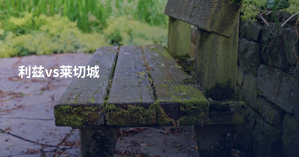 利兹vs莱切城