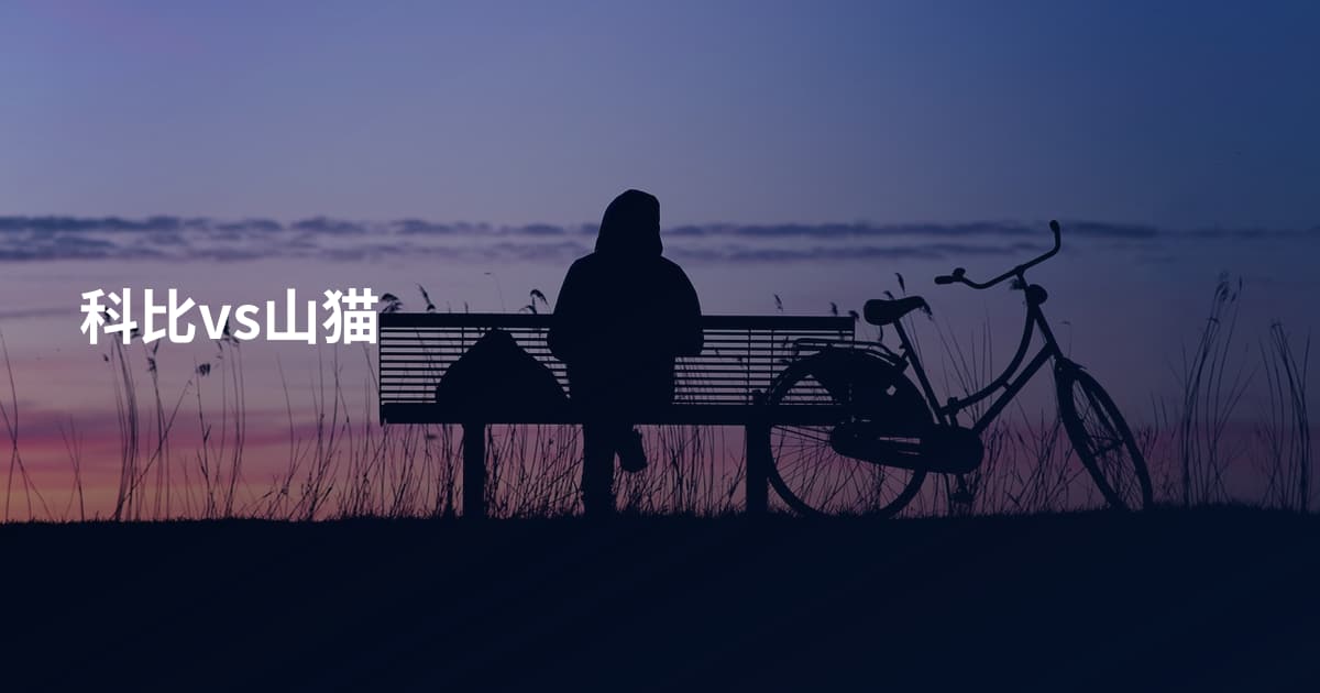 科比vs山猫