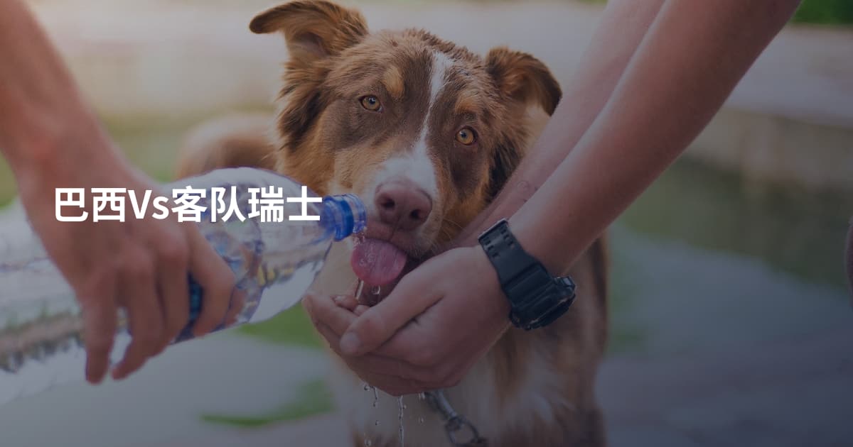 巴西Vs客队瑞士