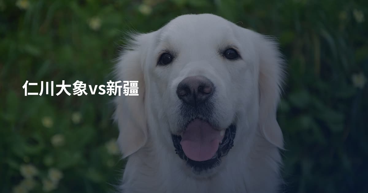 仁川大象vs新疆