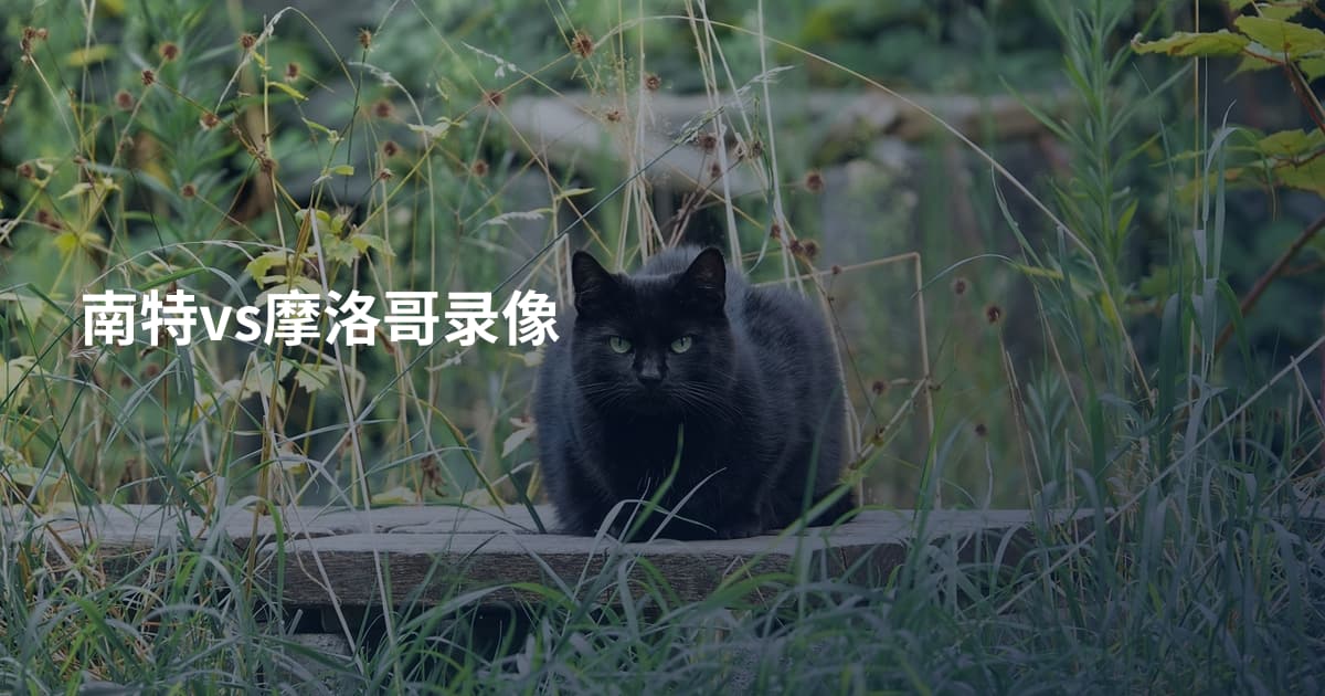 南特vs摩洛哥录像