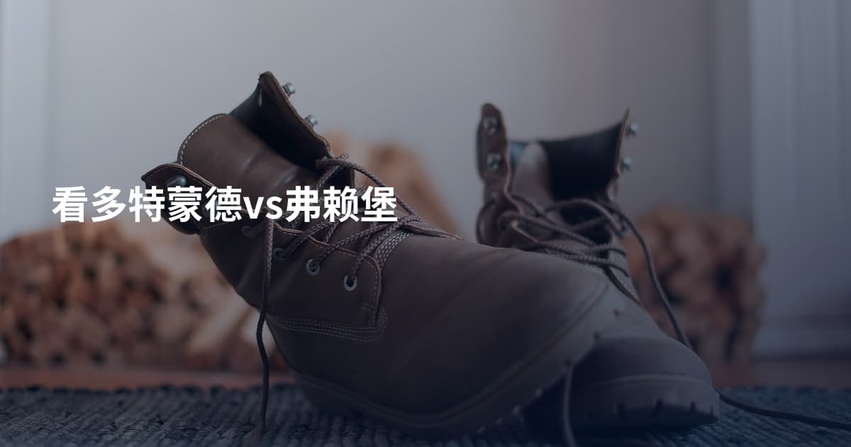 看多特蒙德vs弗赖堡