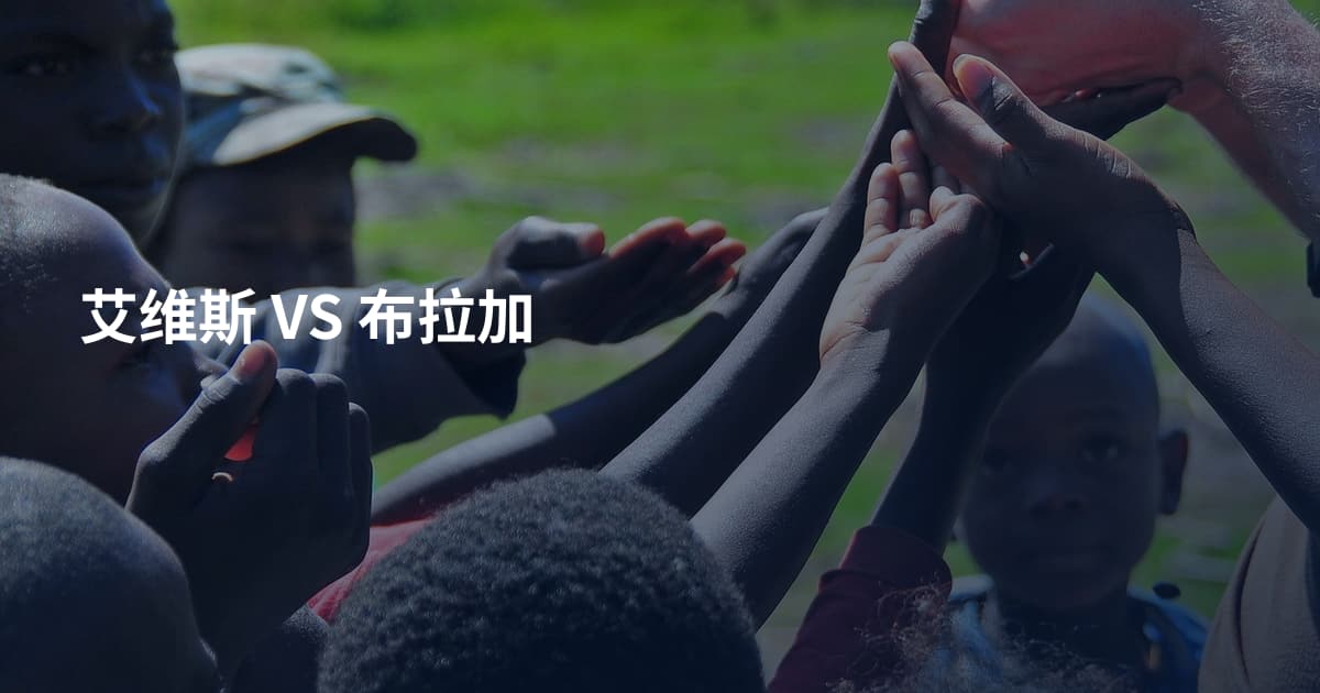 艾维斯 VS 布拉加
