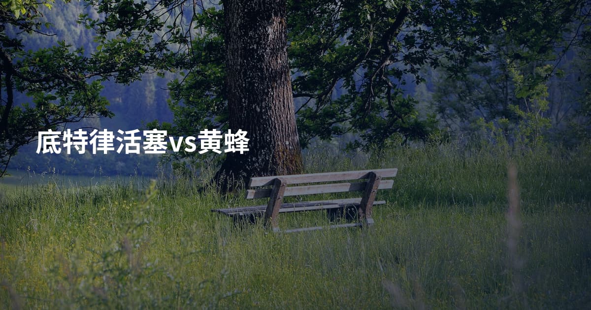 底特律活塞vs黄蜂