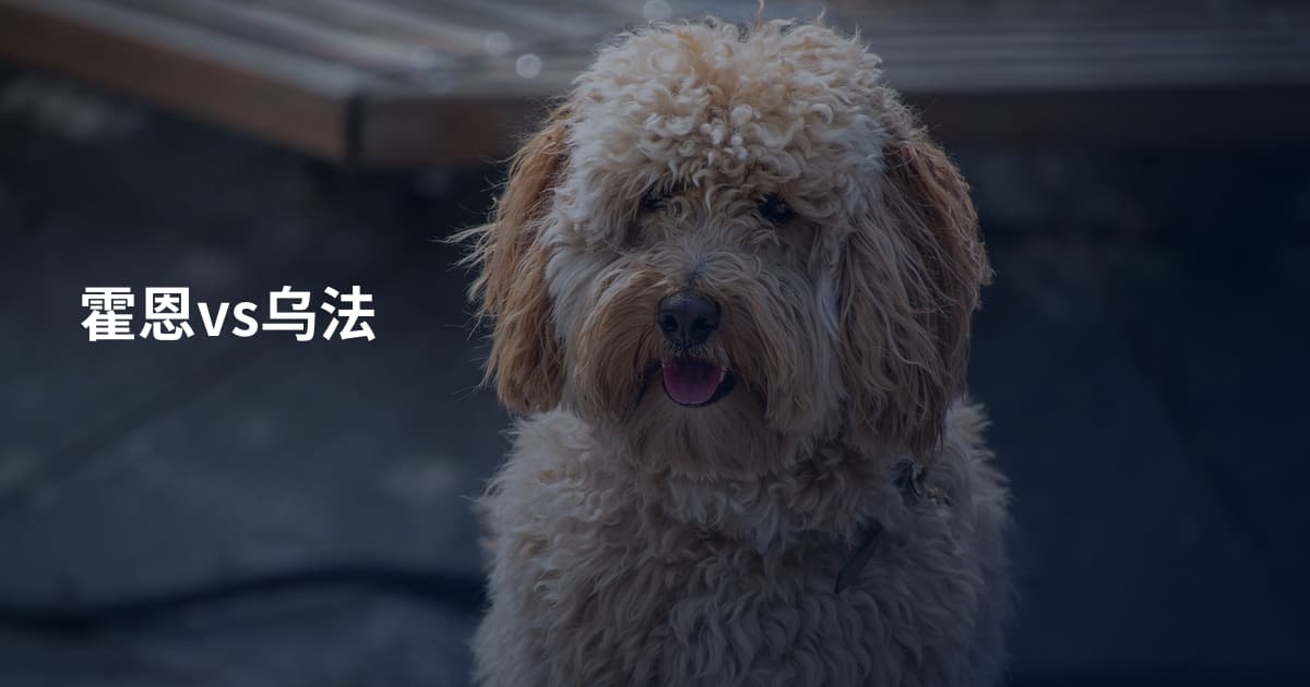 霍恩vs乌法