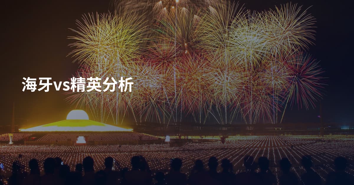 海牙vs精英分析
