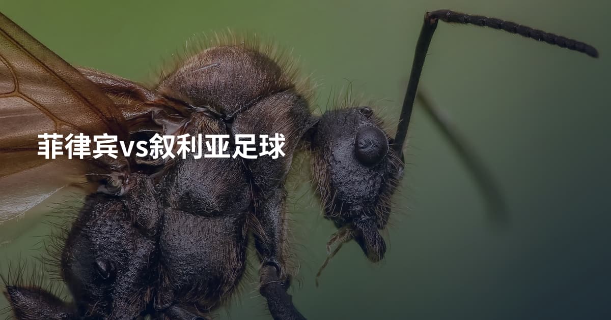 菲律宾vs叙利亚足球