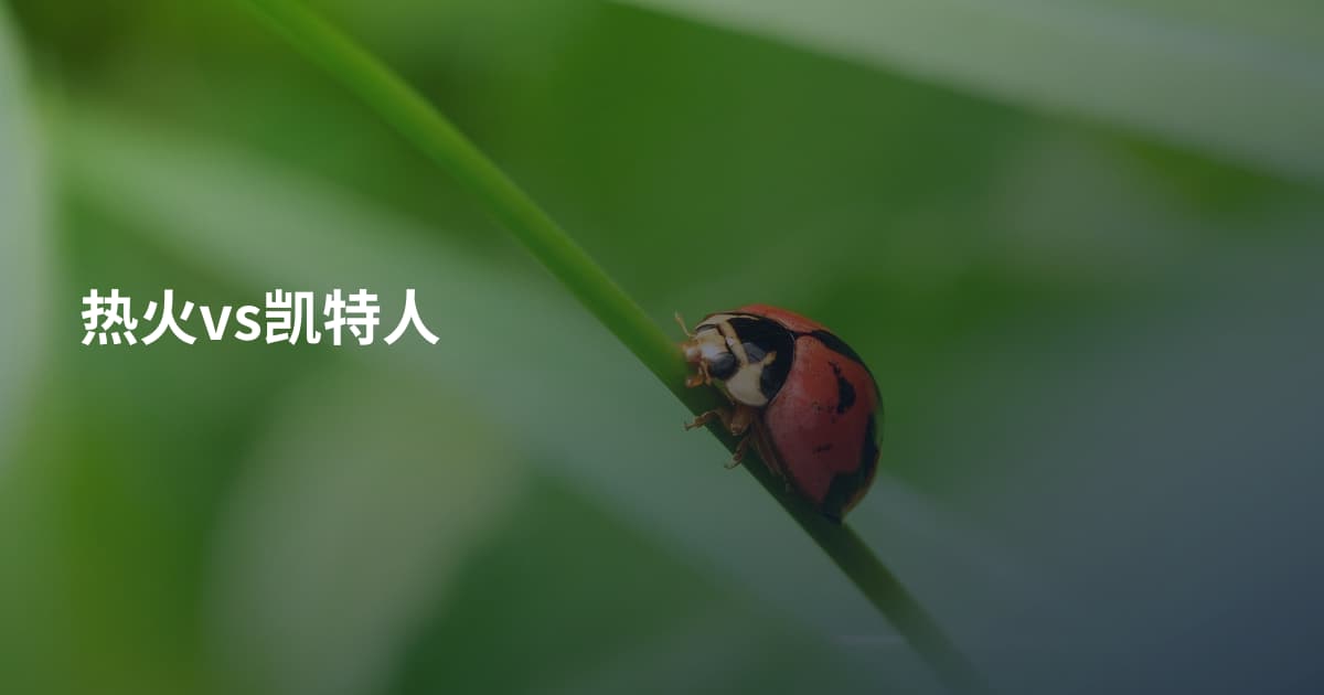 热火vs凯特人
