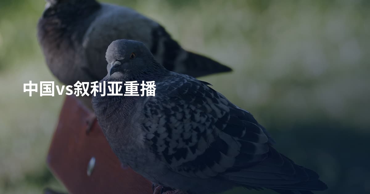 中国vs叙利亚重播