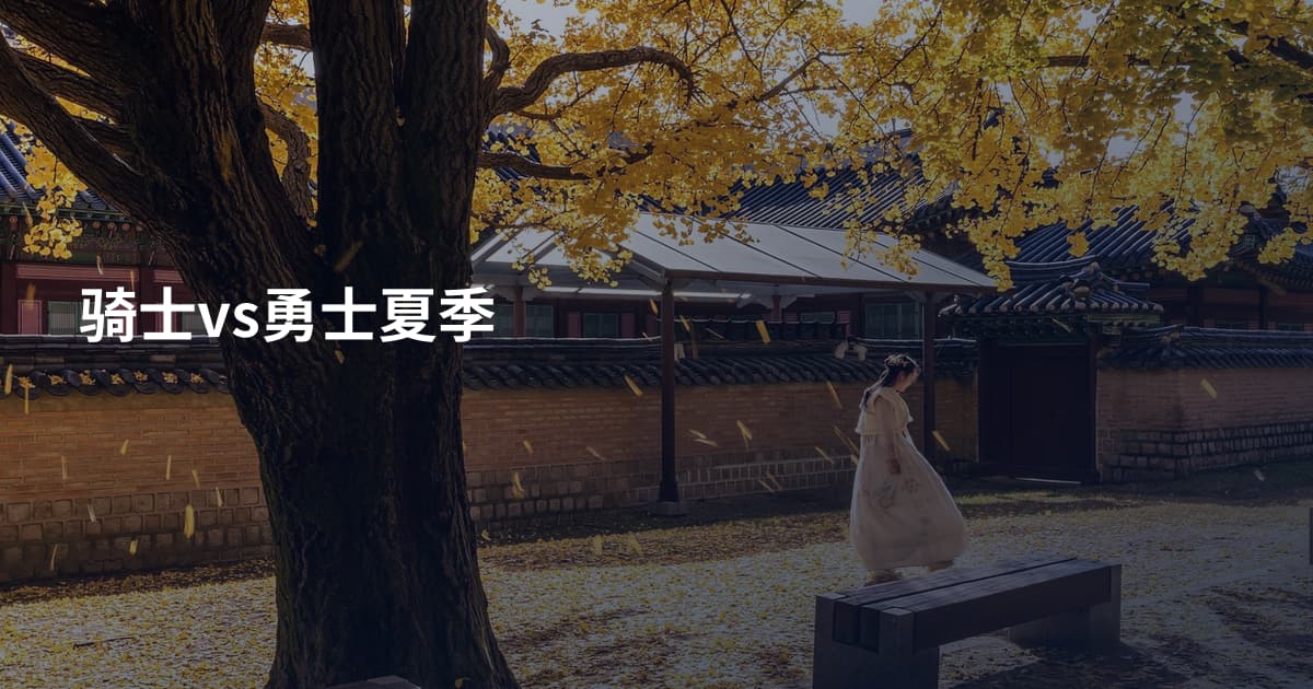 骑士vs勇士夏季