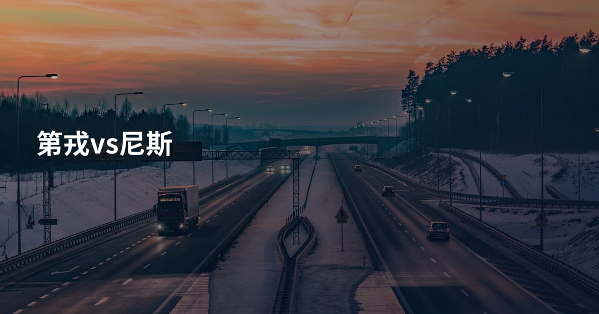 第戎vs尼斯