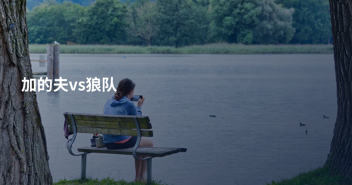加的夫vs狼队