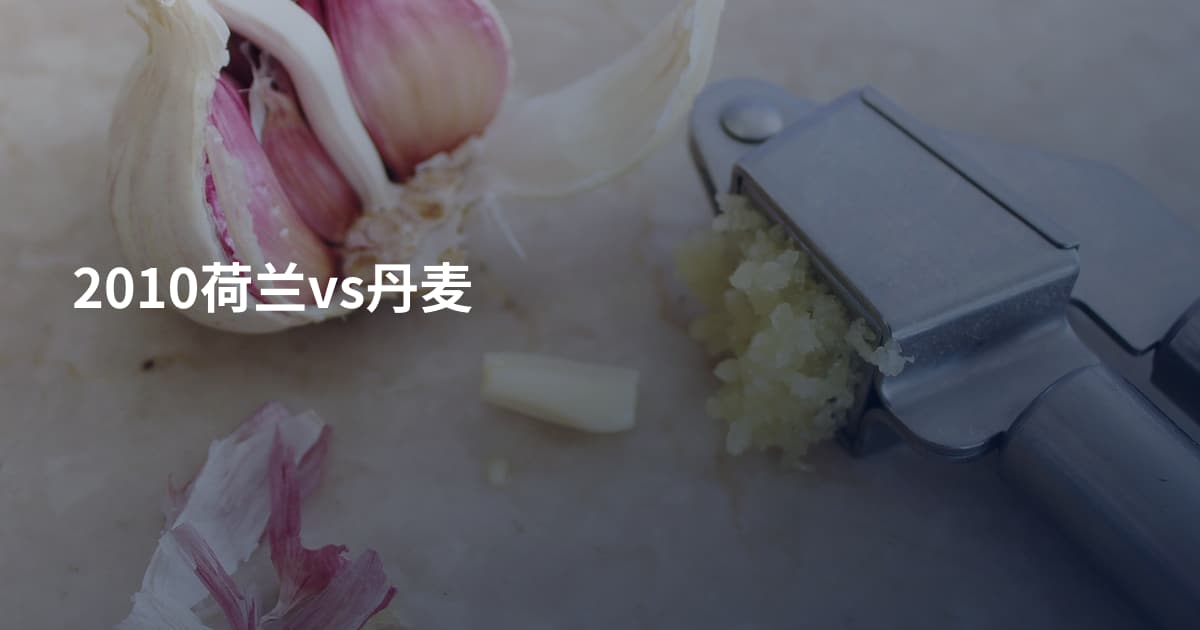 2010荷兰vs丹麦