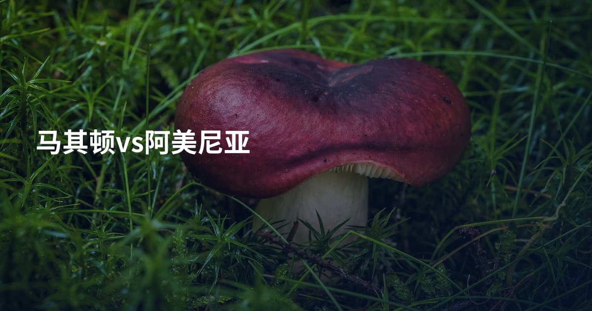 马其顿vs阿美尼亚