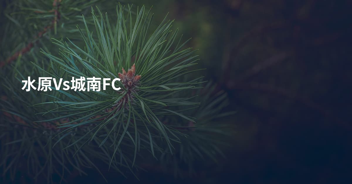 水原Vs城南FC