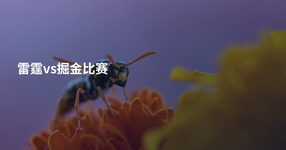 雷霆vs掘金比赛