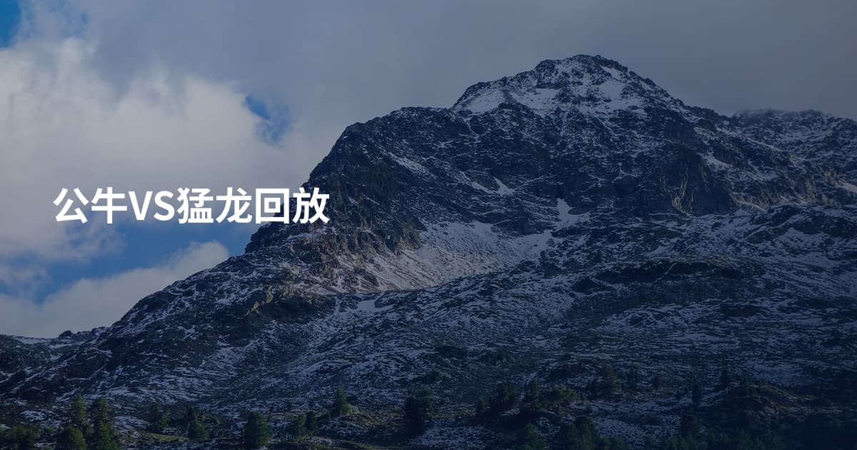 公牛VS猛龙回放