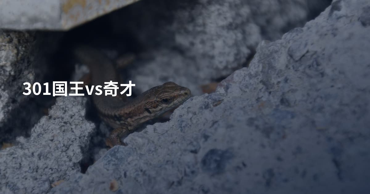301国王vs奇才