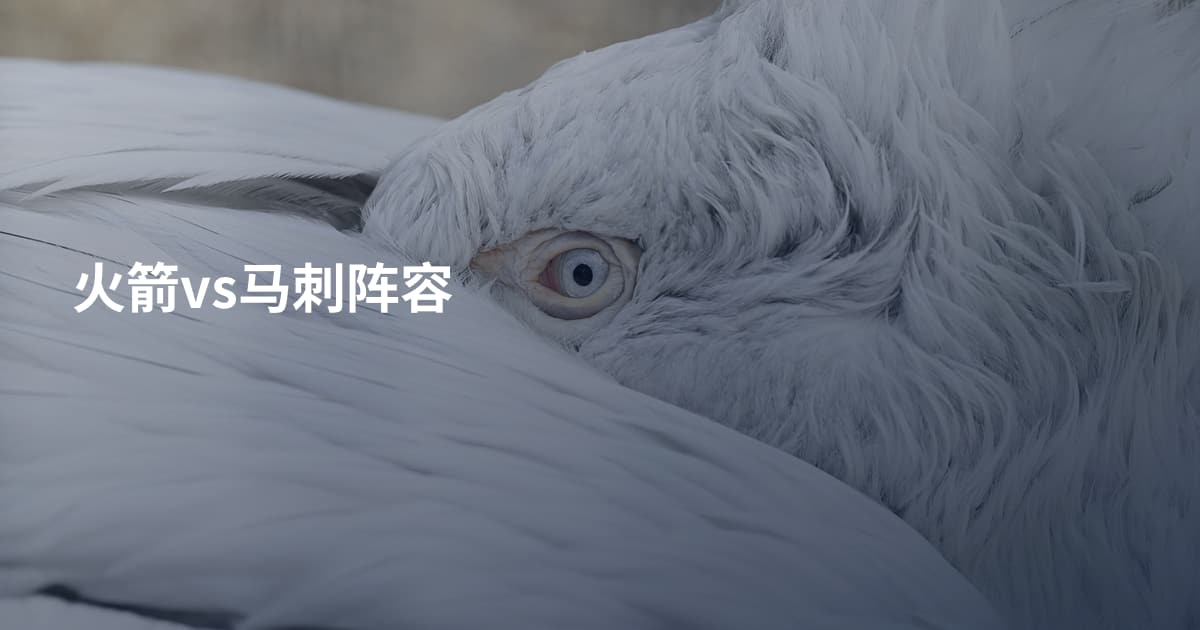 火箭vs马刺阵容