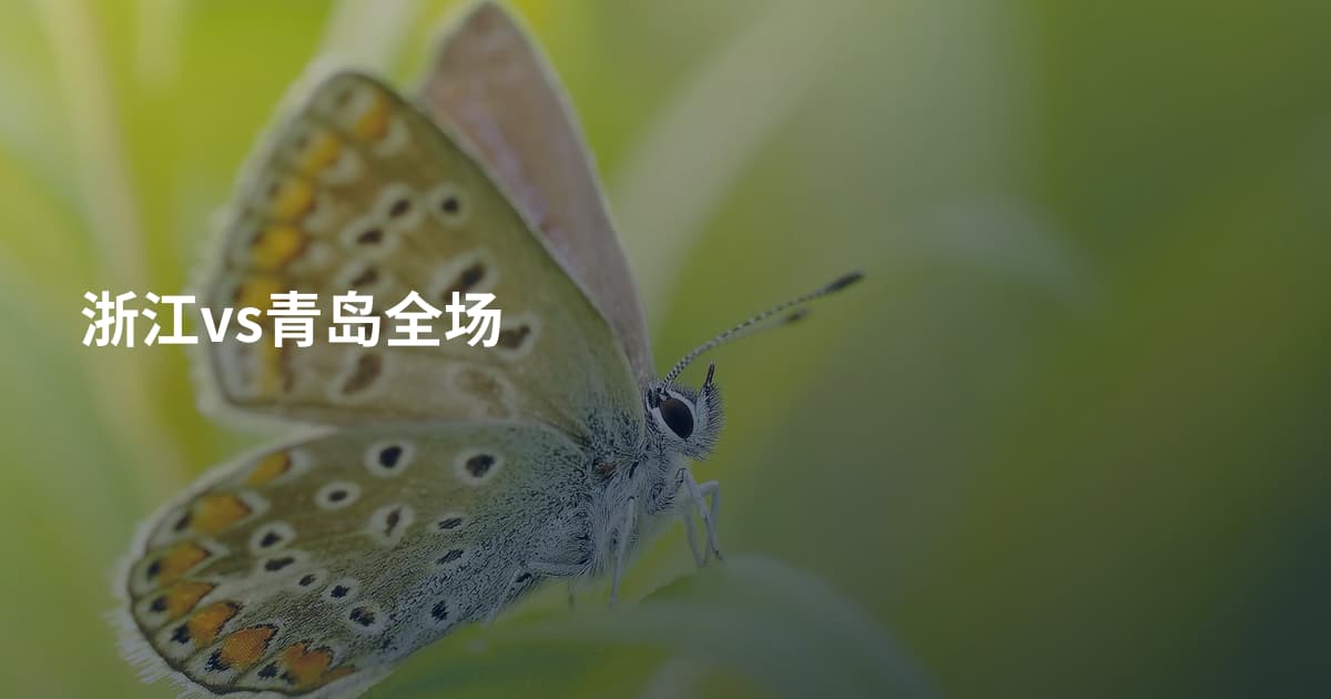 浙江vs青岛全场