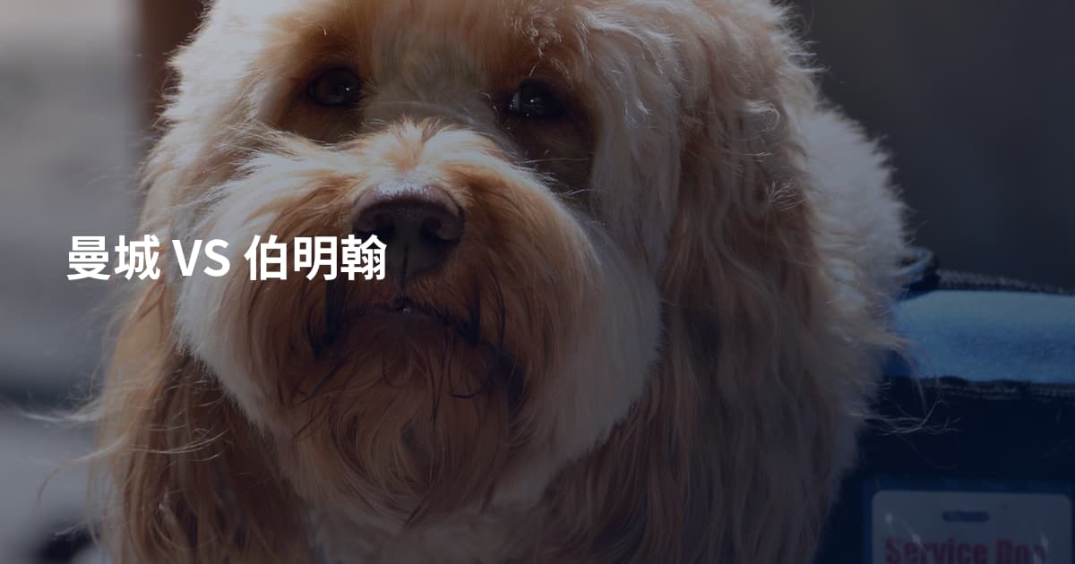 曼城 VS 伯明翰