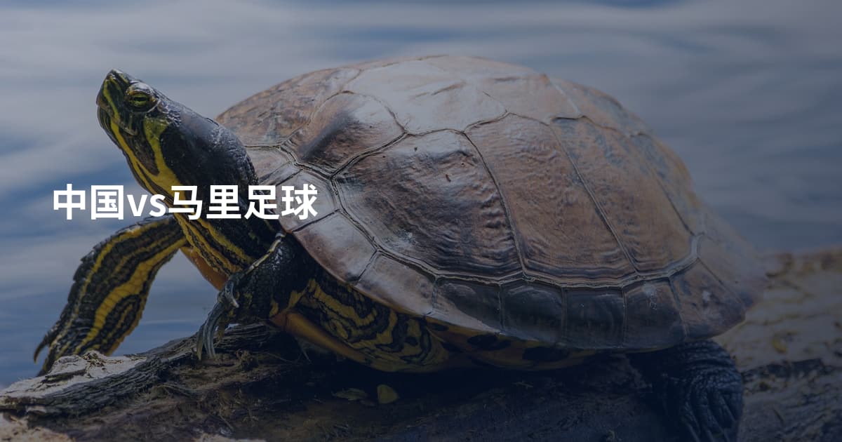中国vs马里足球