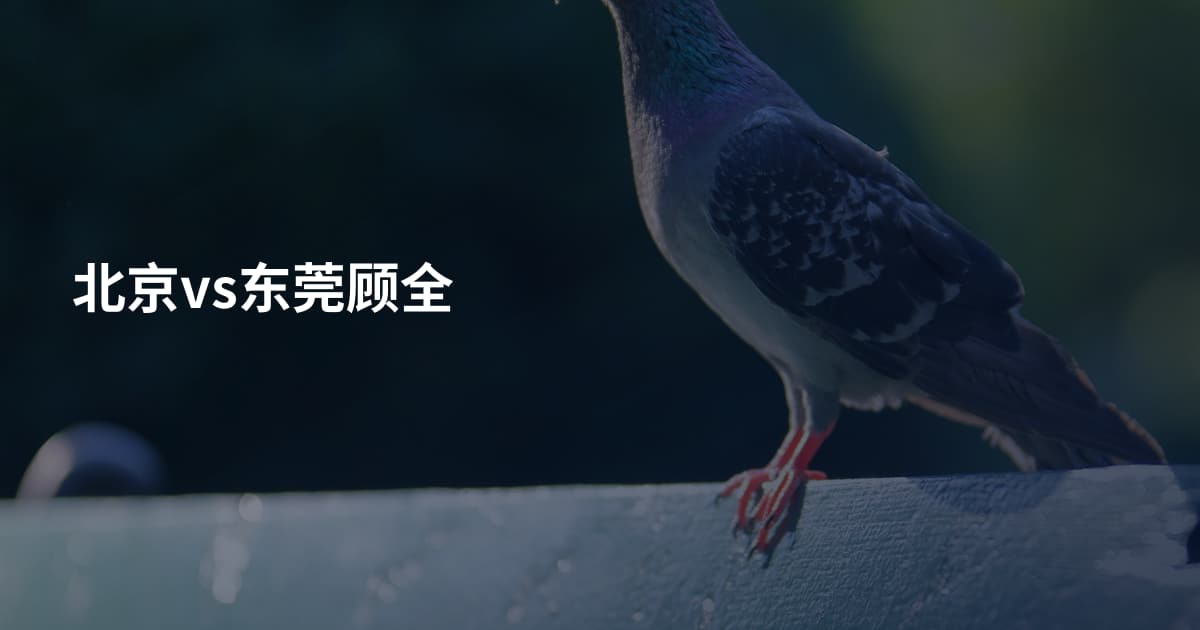 北京vs东莞顾全