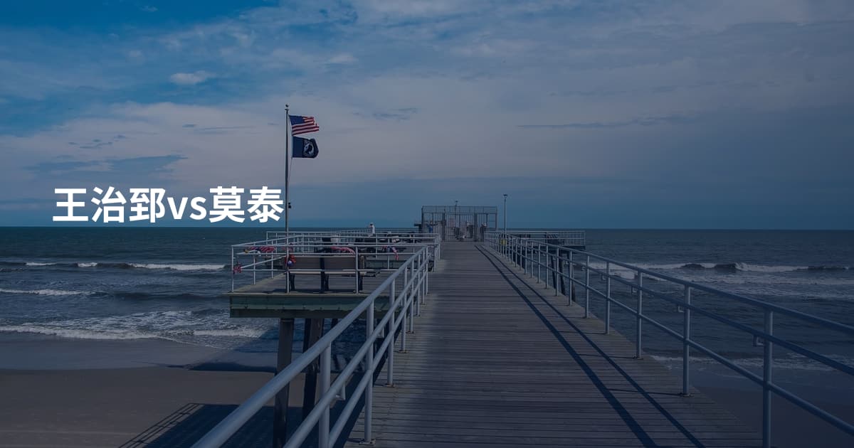王治郅vs莫泰