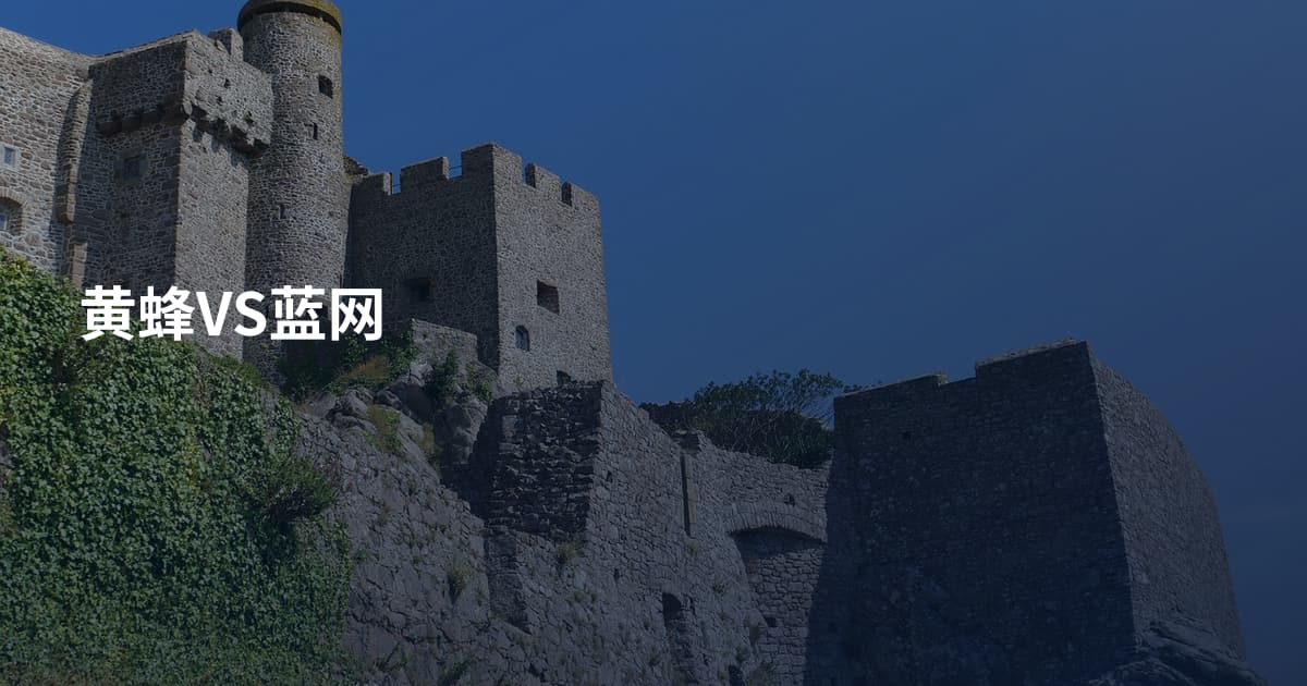 黄蜂VS蓝网