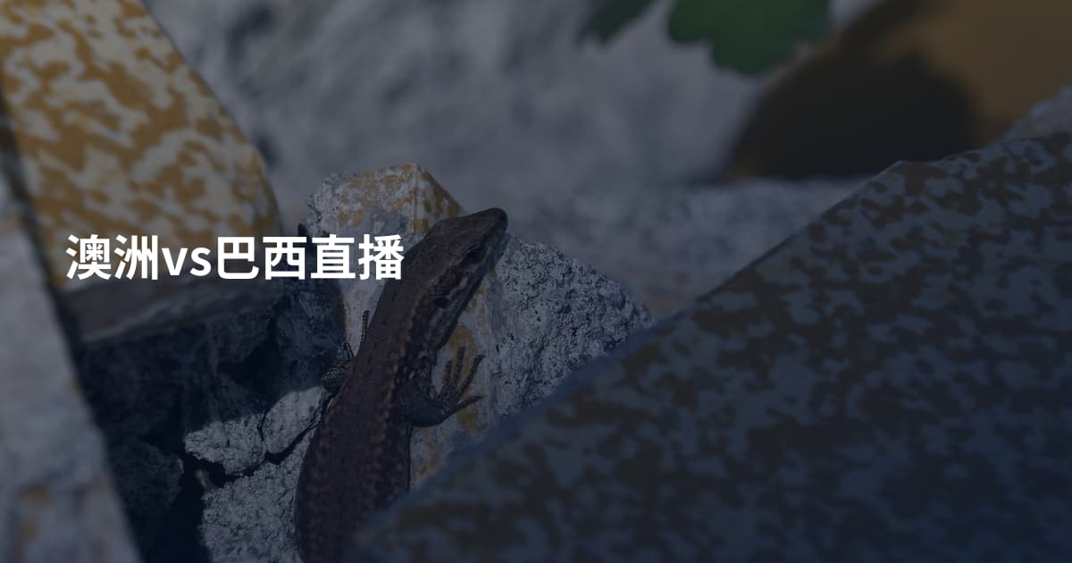 澳洲vs巴西直播
